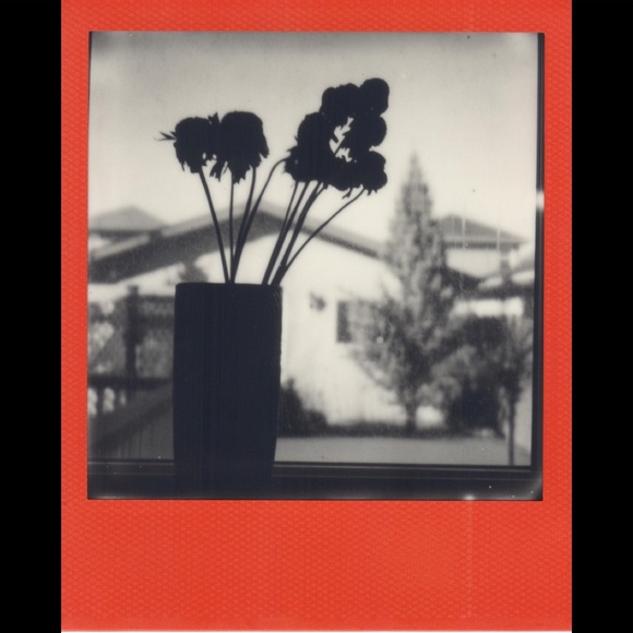 Polaroid B&W 600 Film: Color Frames Edition, RARE & Discontinued Film! NWT, NIB - Picture 4 of 4